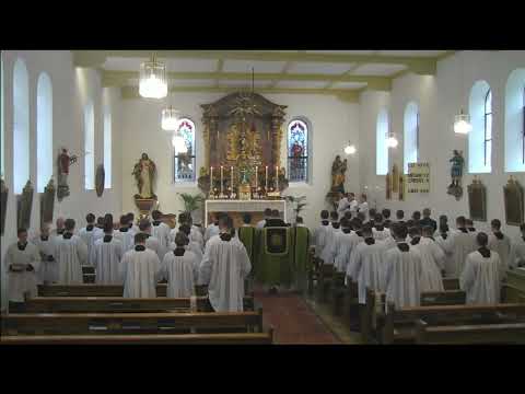 23. November 2025 - Levitiertes Amt im tridentinischen Ritus - Priesterseminar Herz Jesu