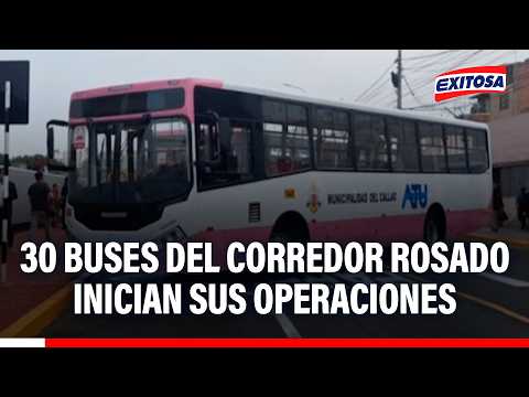 🔴🔵 Treinta buses del corredor rosado inician sus operaciones