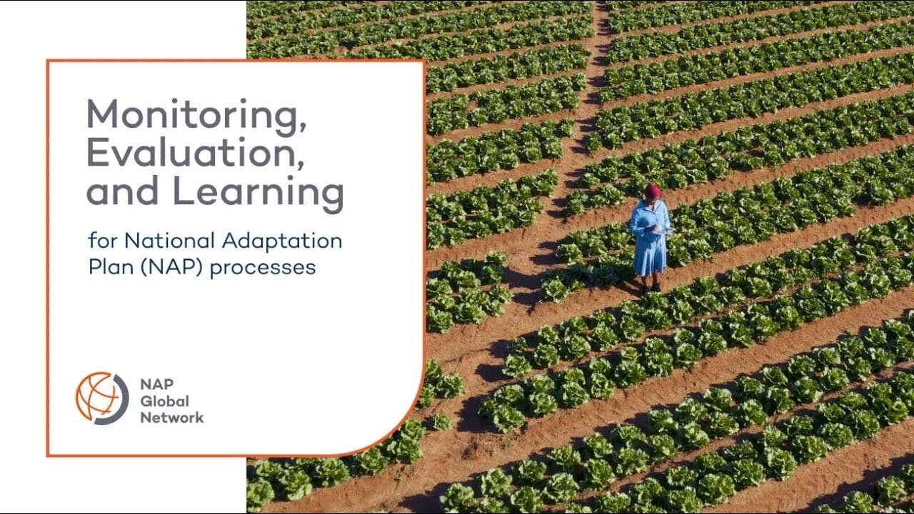 NEW Online Course | Monitoring, Evaluation, and Learning for National Adaptation Plan Processes
