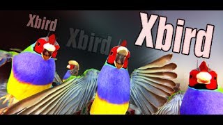 XBird w/ PokeaimMD & Moet [Play or Pass #1]