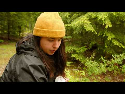 Foraging Sweet Fern with Jazz Thompson