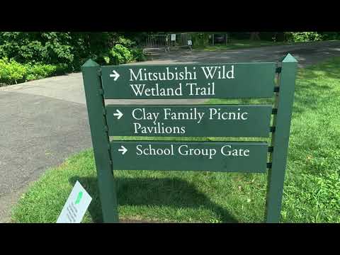 Wild Wetland Trail - NY Botanical Garden