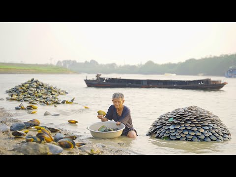 Duong Qua Harvest - Digging for Mussels in the River to Sell to the Market - Everyday Life