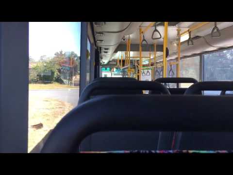 Transperth TP1818 Mercedes Benz O405NH CNG (N/A) (ZF)