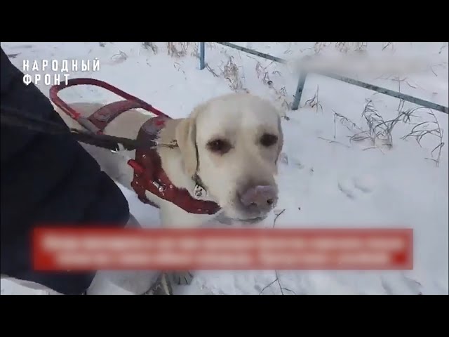 Скандальное происшествие