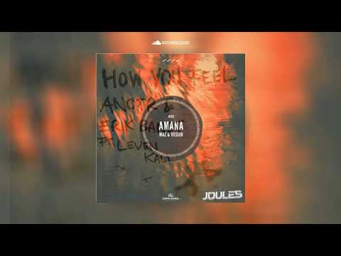 ANOTR, Erik Bandt, Leven Kali x Maz, VXSION - How you feel x Amana (Joules Edit) FREE DL