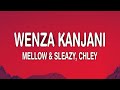 Mellow & Sleazy - Wenza Kanjani (Lyrics) ft. Chley