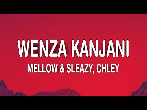 Mellow & Sleazy - Wenza Kanjani (Lyrics) ft. Chley
