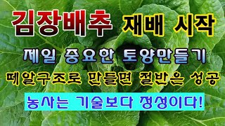 [텃밭농부 2,022]  김장배추 재배의 시작. 토양만들기는 재배성공의 절반 영향 #김장배추 #배추재배