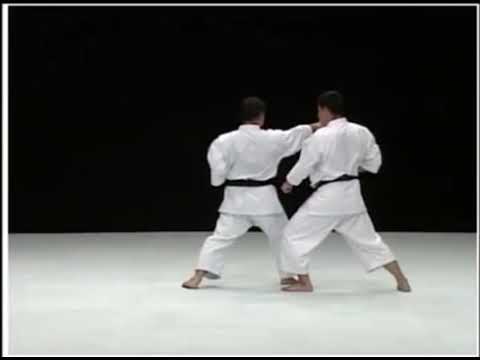 Ryuei-ryu - Sakumoto-sensei - Pachu - Bunkai