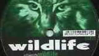 Wildlife   Wildlife & Lifespan Preview
