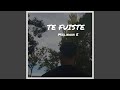 Te Fuiste