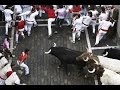 Испанская коррида / Толстяк смешно бежит от быка 
