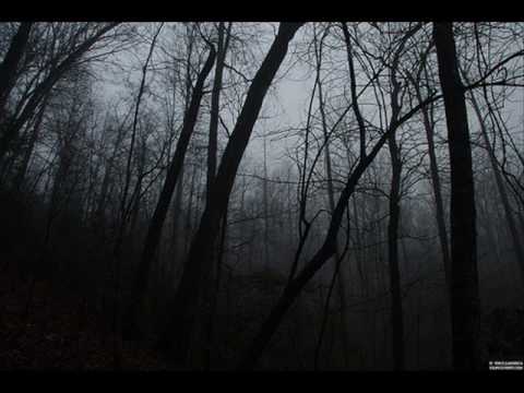 Beethoven - Piano Sonata No. 14 "Moonlight" Sonata (First Movement) (HQ)