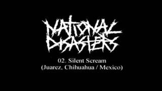 02 NATIONAL DISASTERS - Silent Scream (from tape compilation 