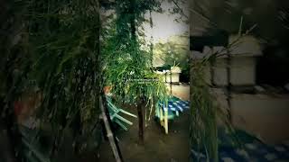 Download lagu Terima Kasih - Jamrud #lagu #music #statuswa #musik #jamrud #rockstar #viralvideo #valentine #viral mp3 Download lagu Terima Kasih - Jamrud #lagu #music #statuswa #musik #jamrud #rockstar #viralvideo #valentine #viral mp3