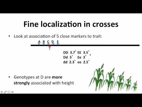 4   5   Week 4   5 S Complex Traits in Crosses 0908