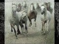 Ах вы кони,мои кони . .... 