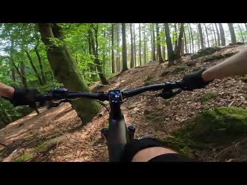 Weißhauswald Trier mtb trail