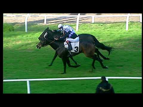 Galoppo 07/12/2020 - 4ª corsa