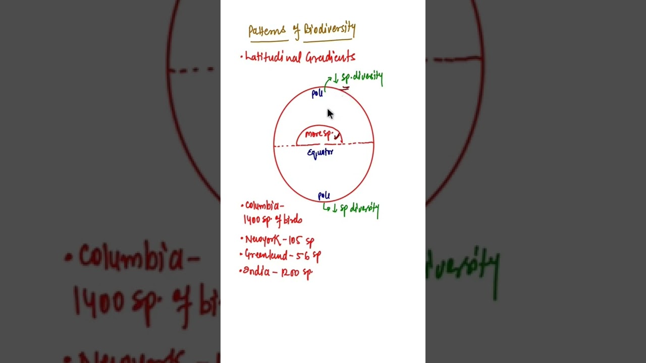 Latitudinal Species Diversity #shorts #biodiversityandconservation