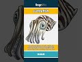 cuttlefish - a sea animal with many arms... video thumbnail