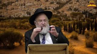 ארץ ישראל בהיבט האקטואלי של היום - הרב מנחם שטיין