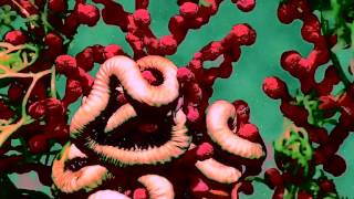 BÊNNÍ "Stardance" (Goner Records)