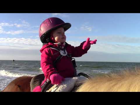 Hopp hopp hopp Pferdchen lauf Galopp, Ponybande Fehmarn, Kinderlieder