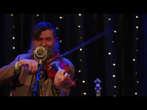 Gardenia Waltz - Live from Crossover Fest 2022 - Aaron Jonah Lewis