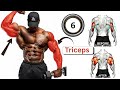 6 Best Triceps Workouts For Massive Arm Gains Ultimate Triceps Training Guide 2025