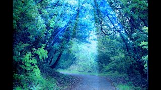 団長シレンの生放送