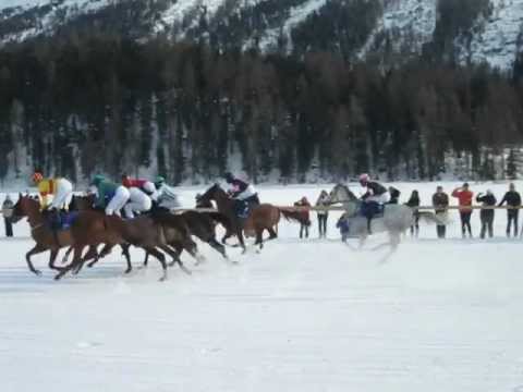 17.02.2013 White Turf - St. Moritz 02