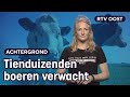 Dit is waarom de boeren opnieuw gaan protesteren  | RTV Oost
