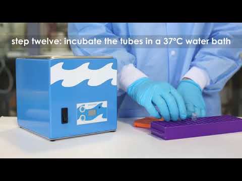 Edvotek kit Transformation of E  coli with Plasmid DNA