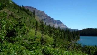 preview picture of video 'Grizzly Bear and Cub in Glacier National Park'