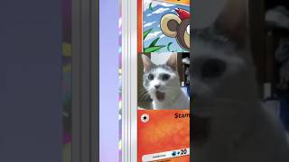 Opening 10 Pokemon Pocket Packs - Fantastical Parade #pokemon #pokemontcg #pokemoncards
