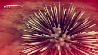 No Man&#39;s Sky - Money farming with Sac Venom or Cheese your way to the Top