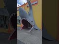 Running into the mouth of a shark!