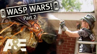 Billy the Exterminator: Top 3 WASP WARS!  - Part 2 | A&E