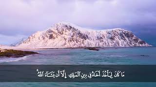 تلاوة من سورة يوسف من المصحف المرتل بصوت الشيخ د. محمد حسان image