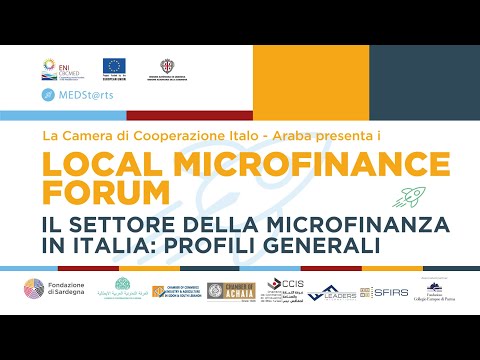 , title : 'Il settore della microfinanza in Italia: profili generali'