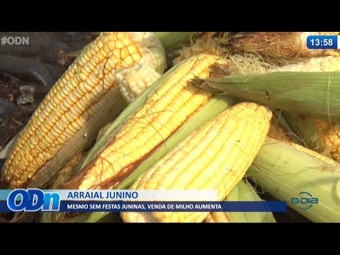 Mesmo sem festas juninas, venda de milho aumenta 16 06 2021