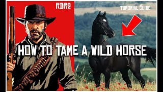 HOW TO TAME A WILD HORSE IN RED DEAD REDEMPTION 2