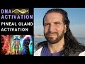 DNA Activation and the Pineal Gland | 144,000 sealed in the forehead ● Lightworker