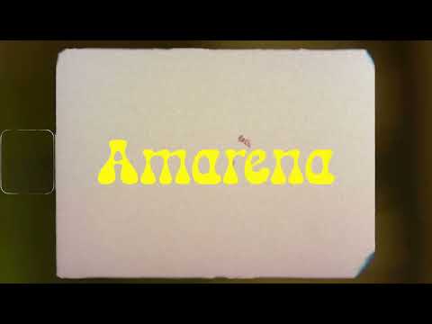 Gianluca Cucini X Gojardi - AMARENA (Lyric Video)