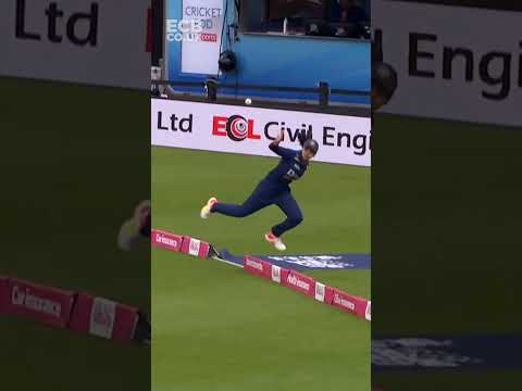😱 Has there been a better boundary catch? Outrageous from Harleen Deol #shorts #cricketcatches