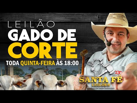 SANTA FÉ LEILÕES - PONTALINA - LEILÃO DE GADO EM GOIÁS - QUINTA-FEIRA -27/08/2026