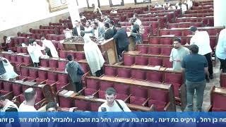 הרב אייל עמרמי - תפילת שחרית - א סיון תשפ"ו