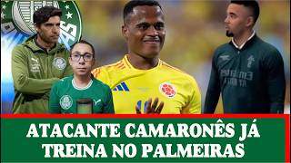 GABRIEL JESUS NO PALMEIRAS | CBF DEFINE ESTÁDIOS QUE TERÃO IMPEDIMENTO SEMIAUTOMÁTICO APÓS A COPA